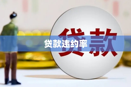 元谋贷款违约率