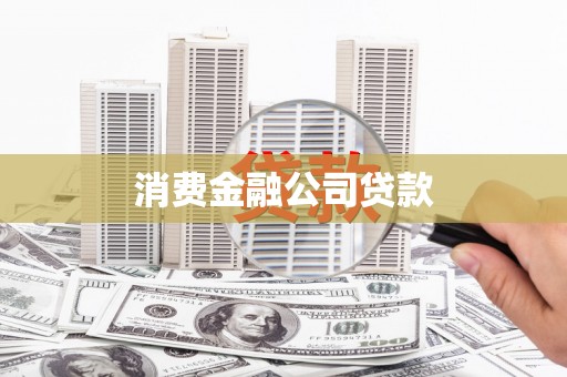 元谋消费金融公司贷款