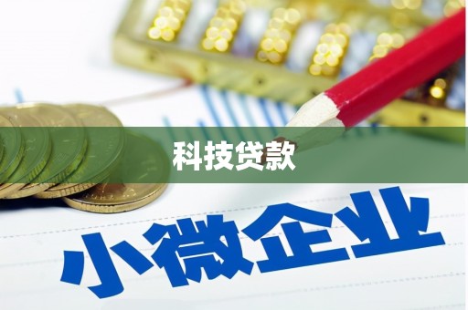 元谋科技贷款