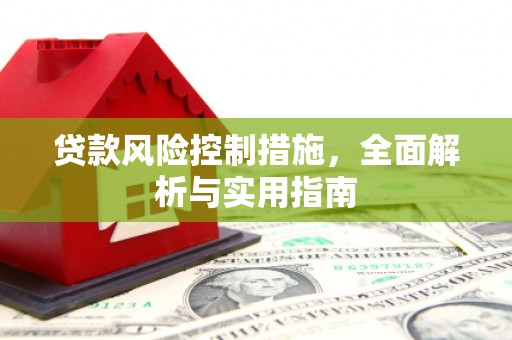 元谋贷款风险控制措施，全面解析与实用指南
