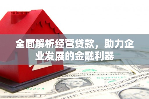 元谋全面解析经营贷款，助力企业发展的金融利器