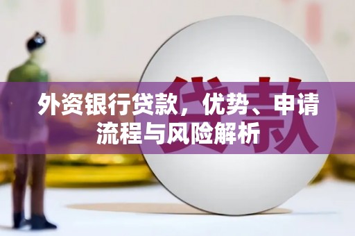 元谋外资银行贷款，优势、申请流程与风险解析