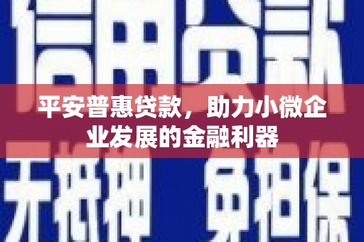 元谋平安普惠贷款，助力小微企业发展的金融利器