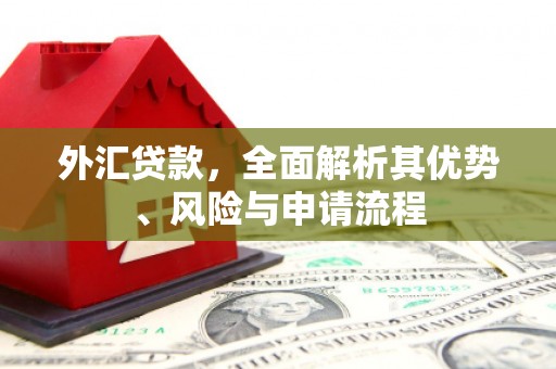 元谋外汇贷款，全面解析其优势、风险与申请流程