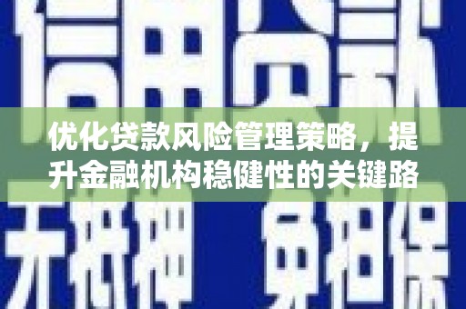 元谋优化贷款风险管理策略，提升金融机构稳健性的关键路径