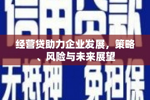元谋经营贷助力企业发展，策略、风险与未来展望