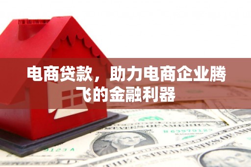 元谋电商贷款，助力电商企业腾飞的金融利器