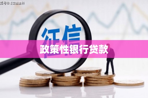元谋政策性银行贷款