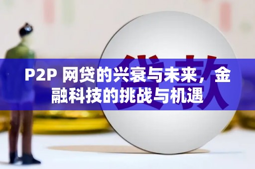 元谋P2P 网贷的兴衰与未来，金融科技的挑战与机遇