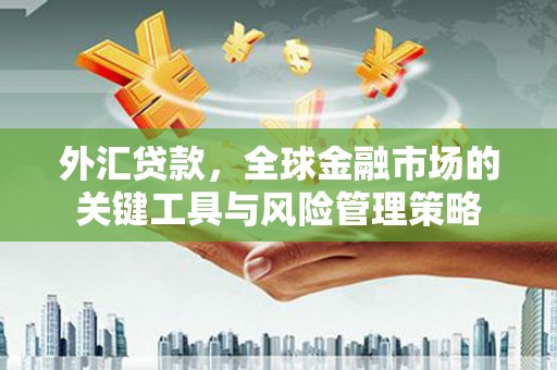 元谋外汇贷款，全球金融市场的关键工具与风险管理策略
