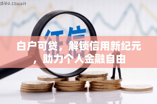 元谋白户可贷，解锁信用新纪元，助力个人金融自由