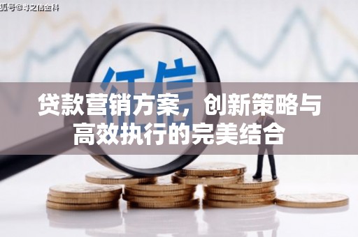 元谋贷款营销方案，创新策略与高效执行的完美结合