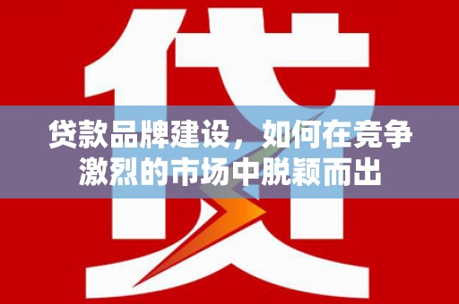 元谋贷款品牌建设，如何在竞争激烈的市场中脱颖而出