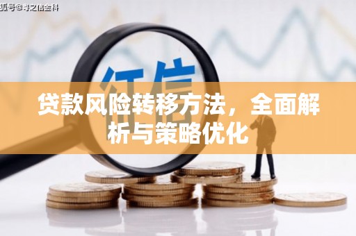 元谋贷款风险转移方法，全面解析与策略优化
