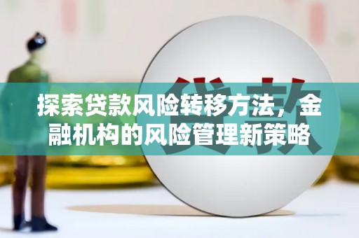 元谋探索贷款风险转移方法，金融机构的风险管理新策略