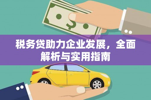 元谋税务贷助力企业发展，全面解析与实用指南