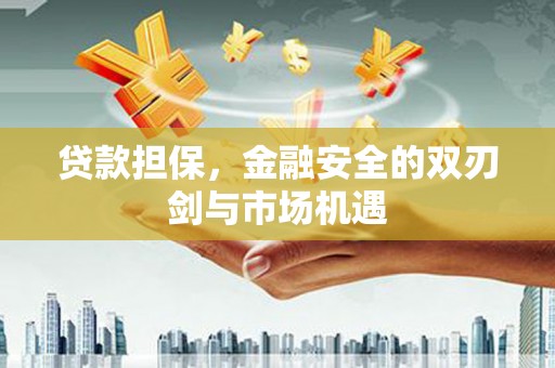元谋贷款担保，金融安全的双刃剑与市场机遇