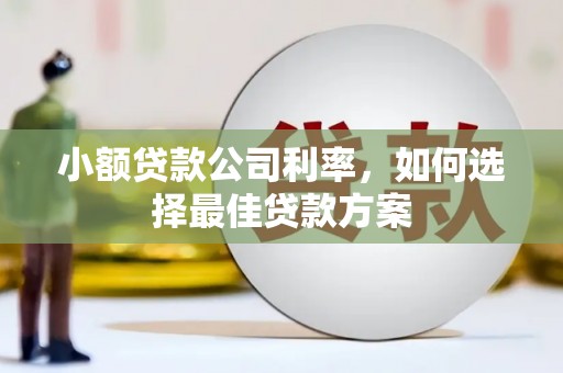 元谋小额贷款公司利率，如何选择最佳贷款方案