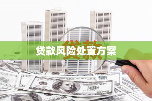 元谋贷款风险处置方案