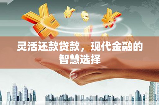 元谋灵活还款贷款，现代金融的智慧选择