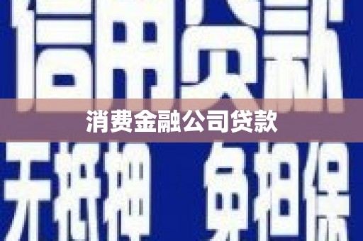 元谋消费金融公司贷款