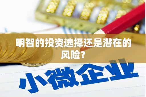 元谋明智的投资选择还是潜在的风险？