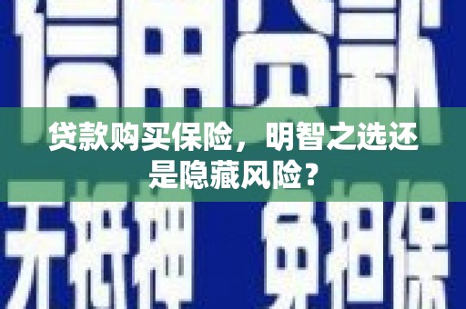 元谋贷款购买保险，明智之选还是隐藏风险？