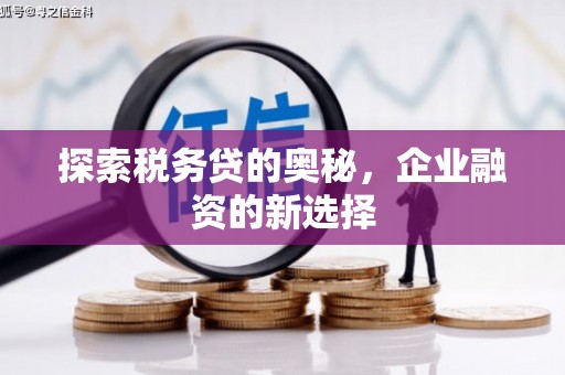 元谋探索税务贷的奥秘，企业融资的新选择