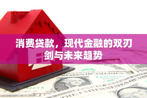元谋消费贷款，现代金融的双刃剑与未来趋势