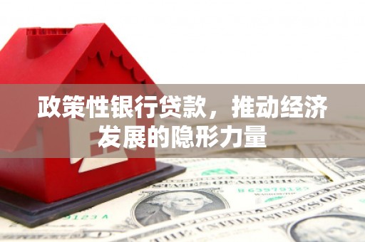 元谋政策性银行贷款，推动经济发展的隐形力量