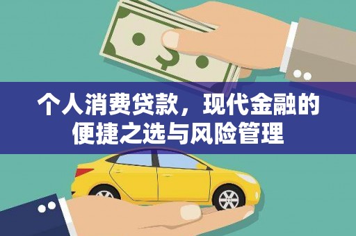 元谋个人消费贷款，现代金融的便捷之选与风险管理