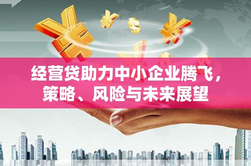 元谋经营贷助力中小企业腾飞，策略、风险与未来展望