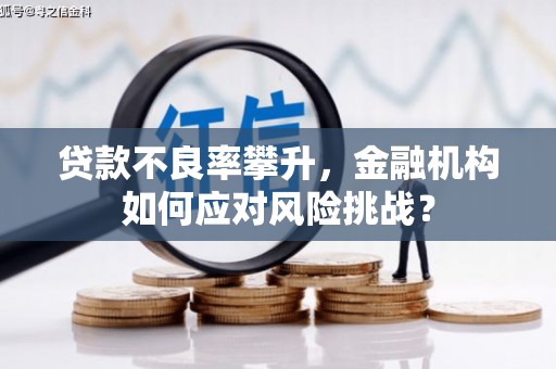 元谋贷款不良率攀升，金融机构如何应对风险挑战？