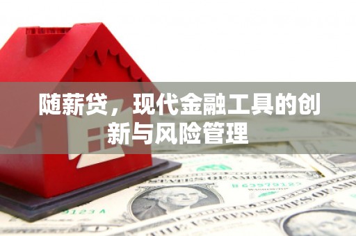 元谋随薪贷，现代金融工具的创新与风险管理