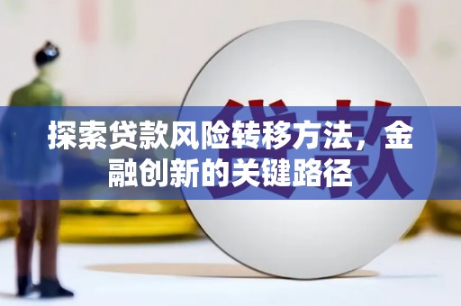 元谋探索贷款风险转移方法，金融创新的关键路径