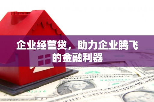 元谋企业经营贷，助力企业腾飞的金融利器