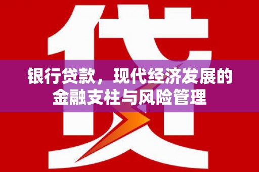 元谋银行贷款，现代经济发展的金融支柱与风险管理
