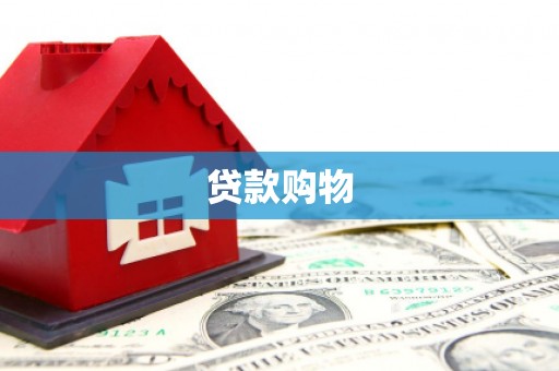 元谋贷款购物