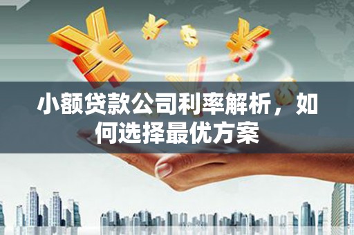 元谋小额贷款公司利率解析，如何选择最优方案