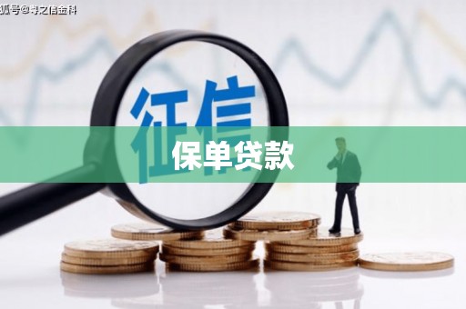 元谋保单贷款