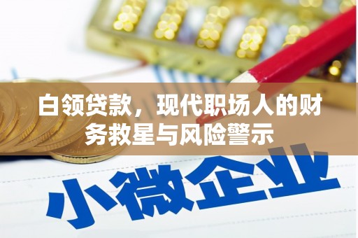 元谋白领贷款，现代职场人的财务救星与风险警示