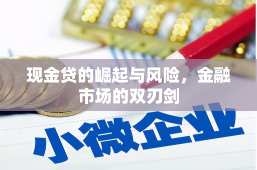 元谋现金贷的崛起与风险，金融市场的双刃剑