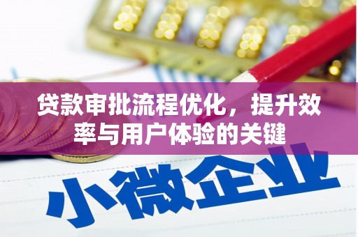 元谋贷款审批流程优化，提升效率与用户体验的关键