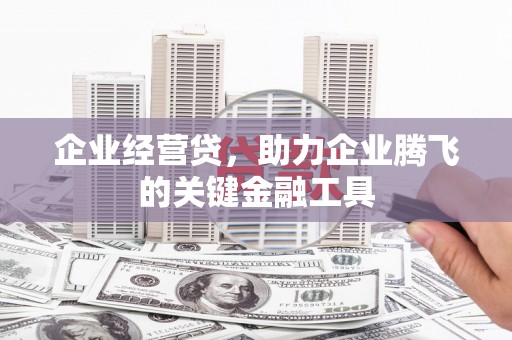 元谋企业经营贷，助力企业腾飞的关键金融工具
