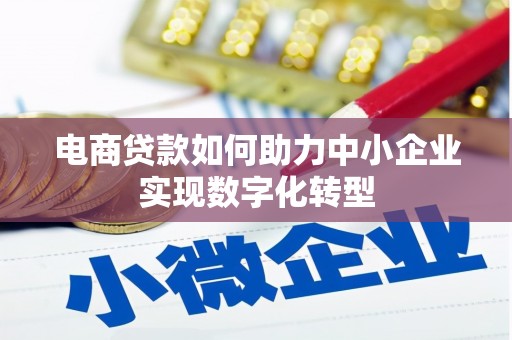 元谋电商贷款如何助力中小企业实现数字化转型
