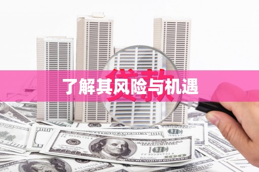 元谋了解其风险与机遇