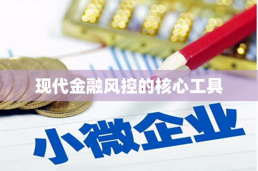 元谋现代金融风控的核心工具