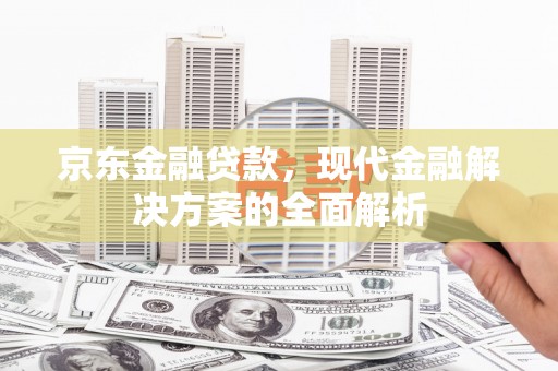 元谋京东金融贷款，现代金融解决方案的全面解析