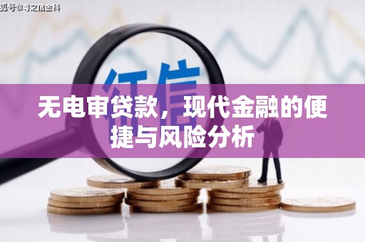 元谋无电审贷款，现代金融的便捷与风险分析