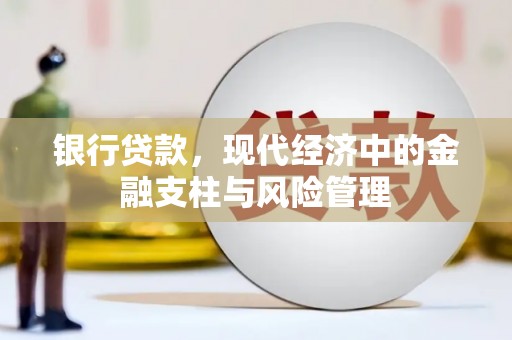 元谋银行贷款，现代经济中的金融支柱与风险管理